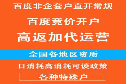 百度竞价推广运营策略：成功案例解析